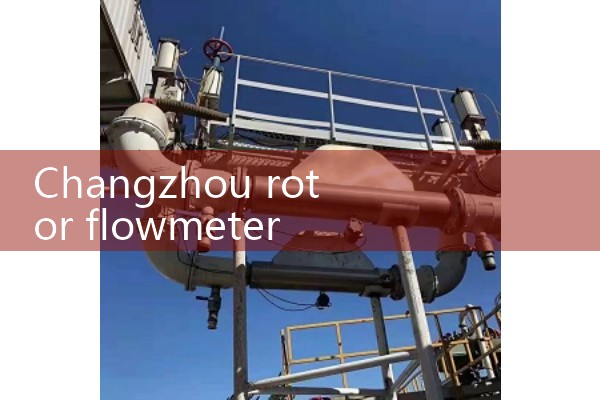 Changzhou rotor flowmeter